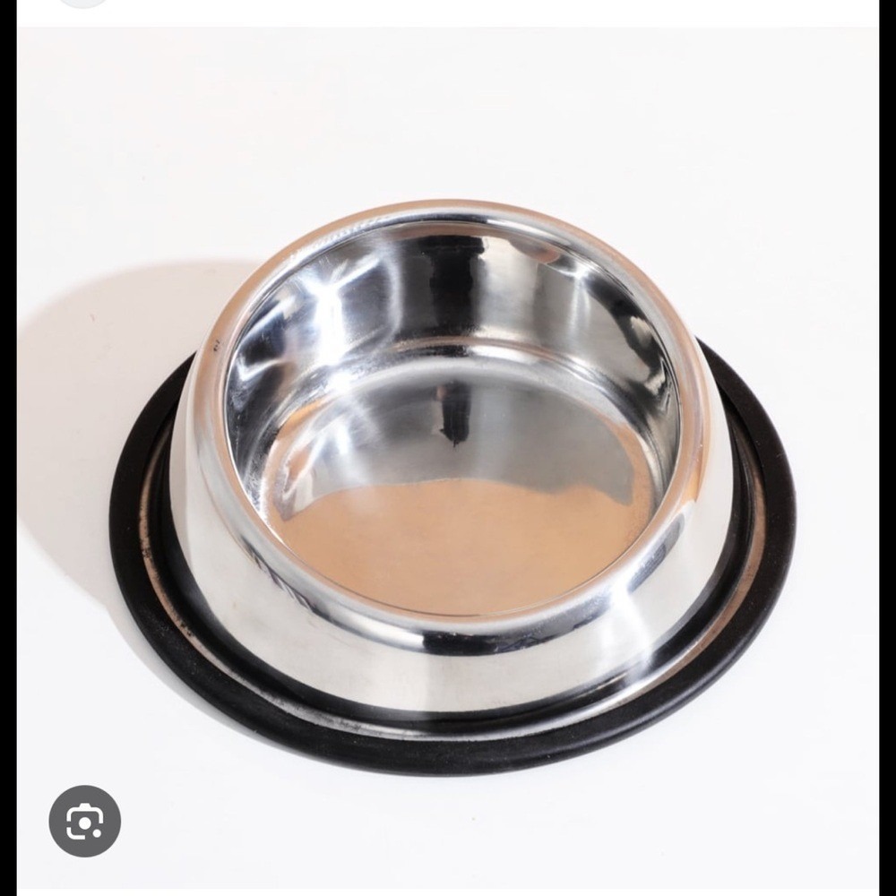 Stainless Steel Angled Pet Bowl with Non-Slip Base